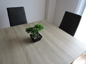 Duplex casco historico
